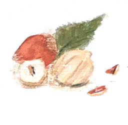 kinderbuch-krefeld
